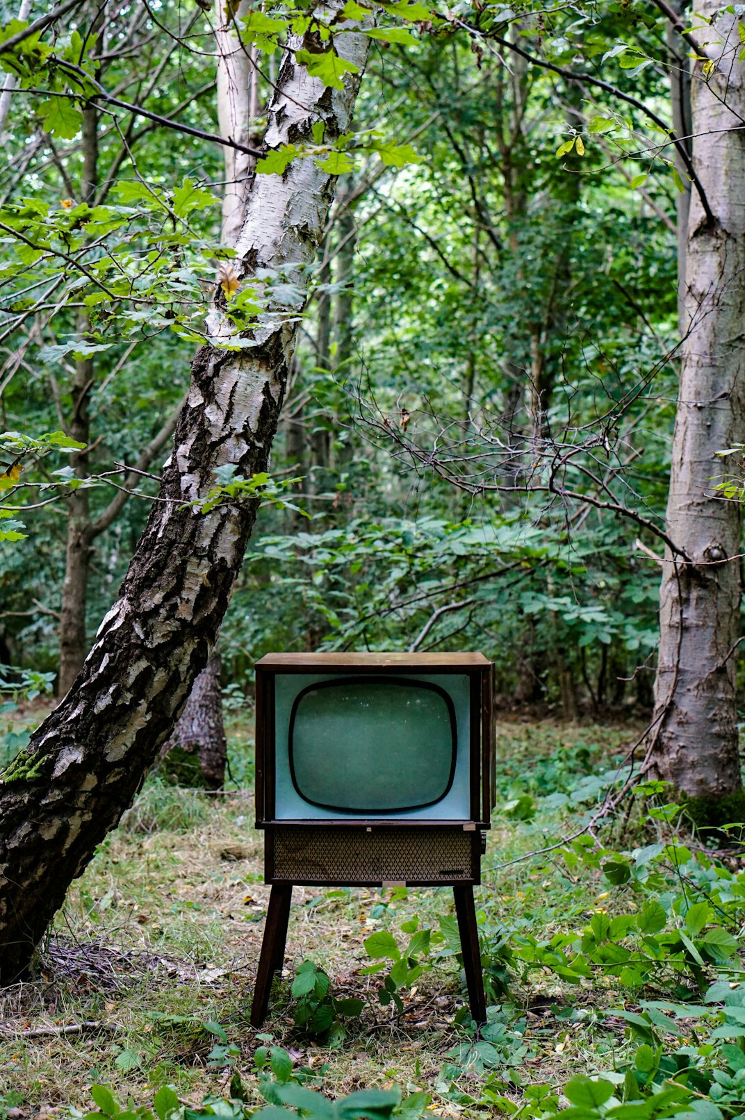 german television evolution